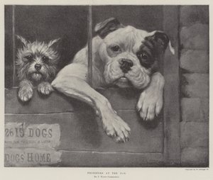 Vangit baarissa tekijältä James Yates Carrington